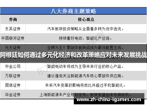 阿根廷如何通过多元化经济和改革策略应对未来发展挑战 阿根廷如何通过多元化经济和改革策略应对未来发展挑战